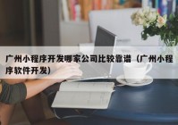 广州小程序开发哪家公司比较靠谱（广州小程序软件开发）