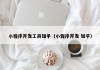 小程序开发工具知乎（小程序开发 知乎）